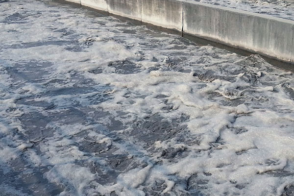 含酚廢水處理方法