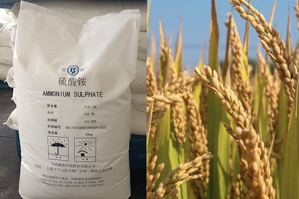 硫酸銨在農業上的應用及注意事項