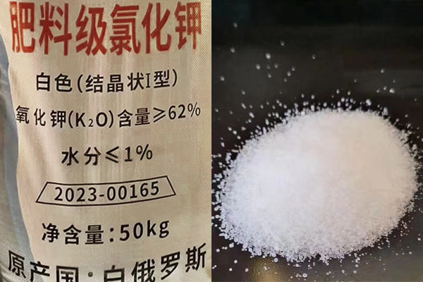 肥料級(jí)氯化鉀如何施用？