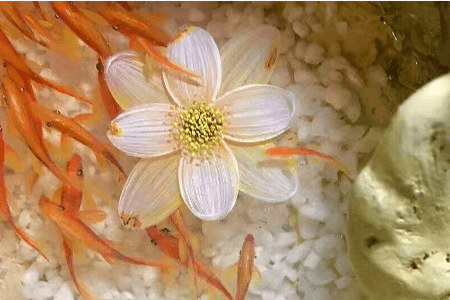 樹脂畫,滲透劑 樹脂畫,滲透劑